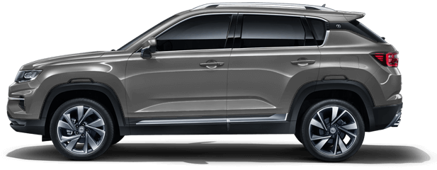 Серебристый пепел